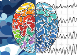 agyhullámok neurofeedback