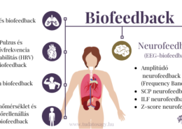 mi a különbség a biofeedback és neurofeedback között